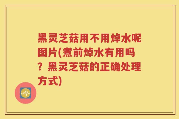 黑灵芝菇用不用焯水呢图片(煮前焯水有用吗？黑灵芝菇的正确处理方式)