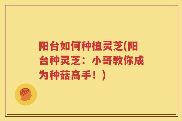 阳台如何种植灵芝(阳台种灵芝：小哥教你成为种菇高手！)