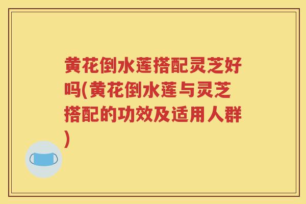 黄花倒水莲搭配灵芝好吗(黄花倒水莲与灵芝搭配的功效及适用人群)