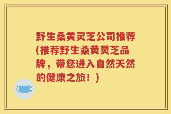 野生桑黄灵芝公司推荐(推荐野生桑黄灵芝品牌，带您进入自然天然的健康之旅！)