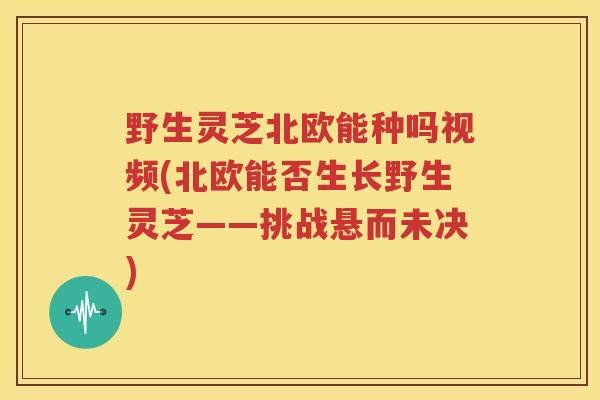 野生灵芝北欧能种吗视频(北欧能否生长野生灵芝——挑战悬而未决)