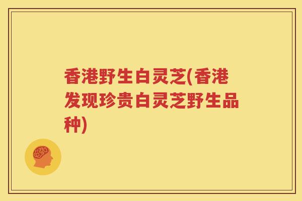 香港野生白灵芝(香港发现珍贵白灵芝野生品种)
