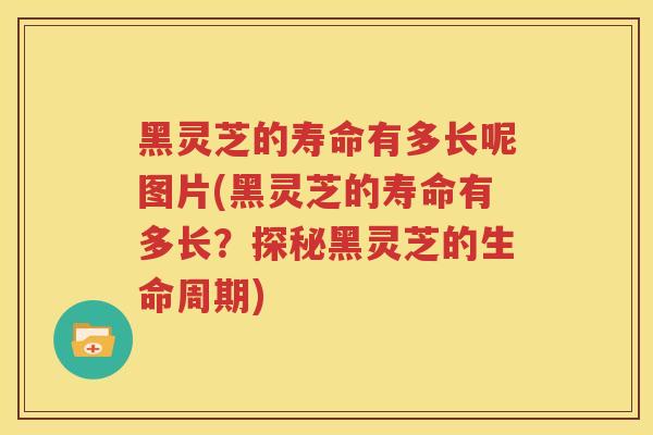 黑灵芝的寿命有多长呢图片(黑灵芝的寿命有多长？探秘黑灵芝的生命周期)
