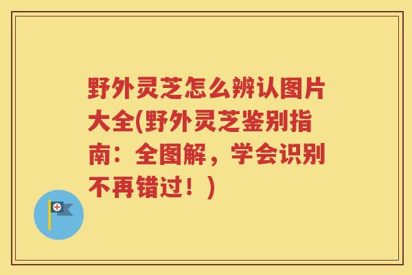 野外灵芝怎么辨认图片大全(野外灵芝鉴别指南：全图解，学会识别不再错过！)