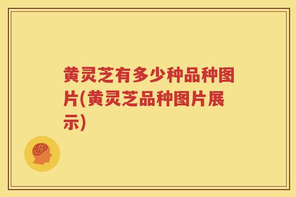 黄灵芝有多少种品种图片(黄灵芝品种图片展示)