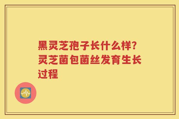 黑灵芝孢子长什么样？灵芝菌包菌丝发育生长过程