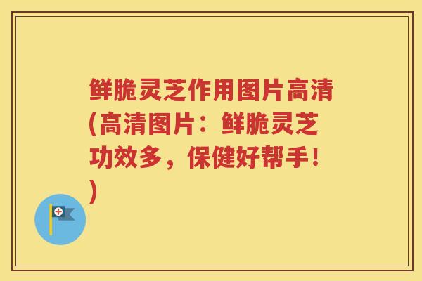 鲜脆灵芝作用图片高清(高清图片：鲜脆灵芝功效多，保健好帮手！)