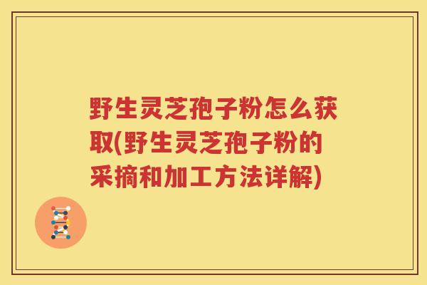 野生灵芝孢子粉怎么获取(野生灵芝孢子粉的采摘和加工方法详解)
