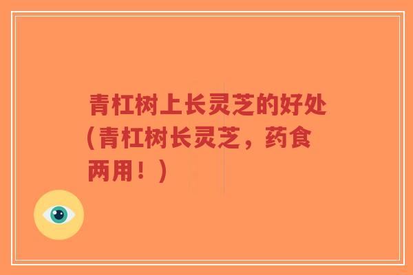青杠树上长灵芝的好处(青杠树长灵芝，药食两用！)
