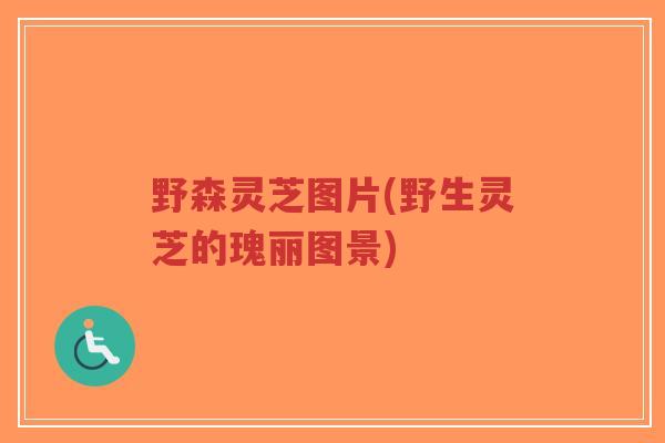 野森灵芝图片(野生灵芝的瑰丽图景)