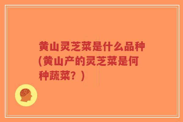 黄山灵芝菜是什么品种(黄山产的灵芝菜是何种蔬菜？)