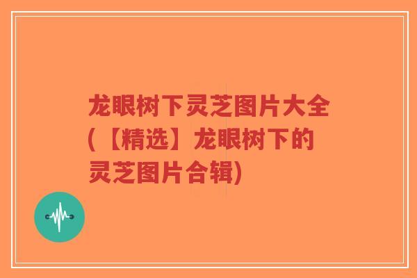 龙眼树下灵芝图片大全(【精选】龙眼树下的灵芝图片合辑)