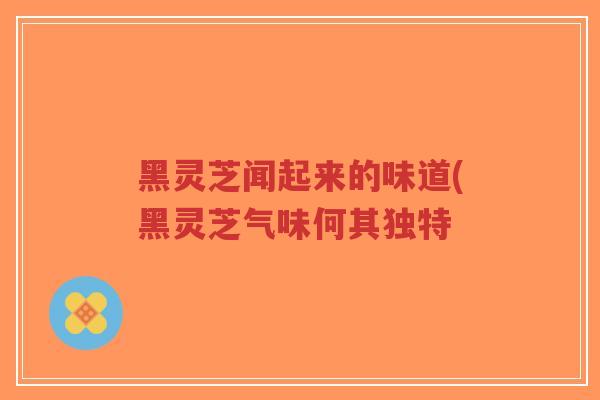 黑灵芝闻起来的味道(黑灵芝气味何其独特