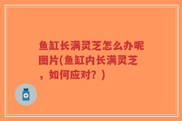 鱼缸长满灵芝怎么办呢图片(鱼缸内长满灵芝，如何应对？)
