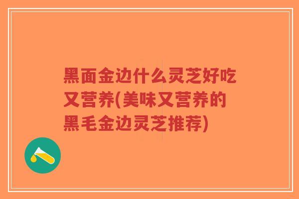 黑面金边什么灵芝好吃又营养(美味又营养的黑毛金边灵芝推荐)