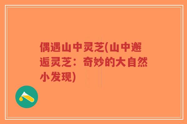 偶遇山中灵芝(山中邂逅灵芝：奇妙的大自然小发现)