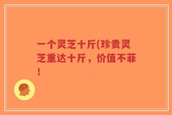 一个灵芝十斤(珍贵灵芝重达十斤，价值不菲！
