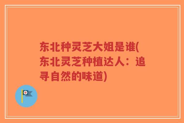 东北种灵芝大姐是谁(东北灵芝种植达人：追寻自然的味道)