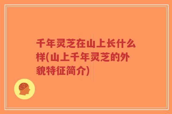 千年灵芝在山上长什么样(山上千年灵芝的外貌特征简介)