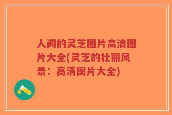 人间的灵芝图片高清图片大全(灵芝的壮丽风景：高清图片大全)