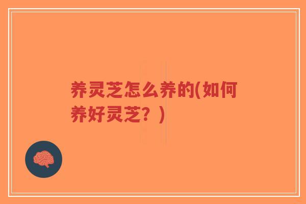 养灵芝怎么养的(如何养好灵芝？)