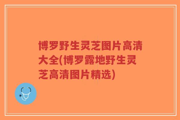 博罗野生灵芝图片高清大全(博罗露地野生灵芝高清图片精选)