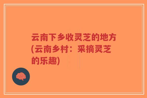 云南下乡收灵芝的地方(云南乡村：采摘灵芝的乐趣)