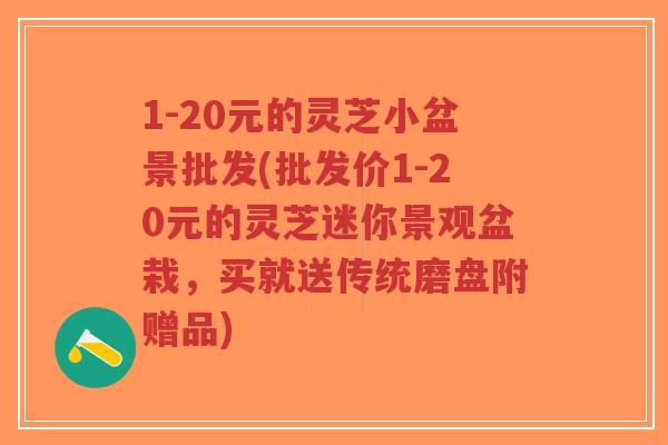 1-20元的灵芝小盆景批发(批发价1-20元的灵芝迷你景观盆栽，买就送传统磨盘附赠品)