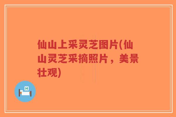 仙山上采灵芝图片(仙山灵芝采摘照片，美景壮观)