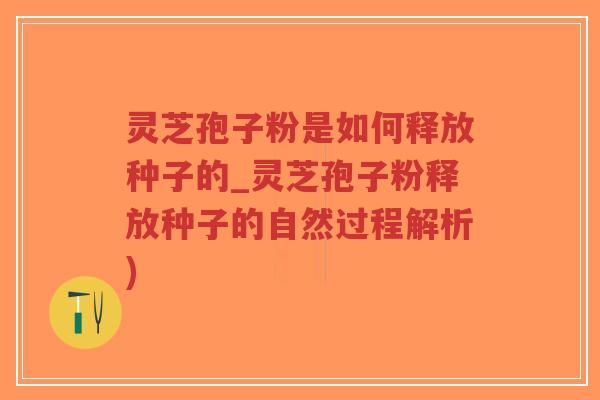 灵芝孢子粉是如何释放种子的_灵芝孢子粉释放种子的自然过程解析)