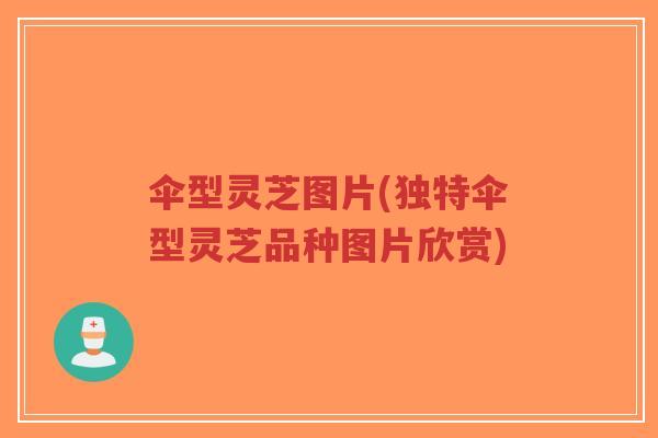 伞型灵芝图片(独特伞型灵芝品种图片欣赏)