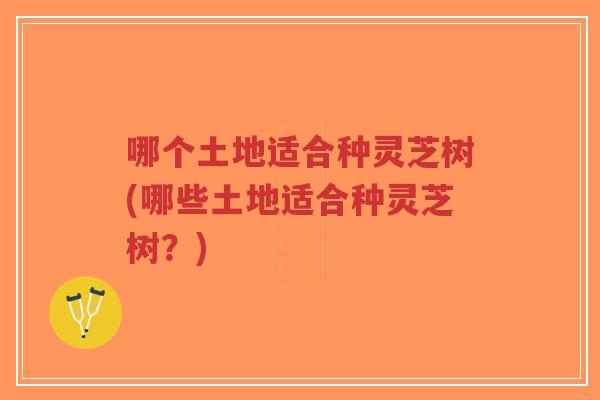 哪个土地适合种灵芝树(哪些土地适合种灵芝树？)