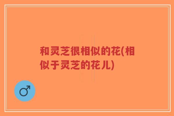 和灵芝很相似的花(相似于灵芝的花儿)
