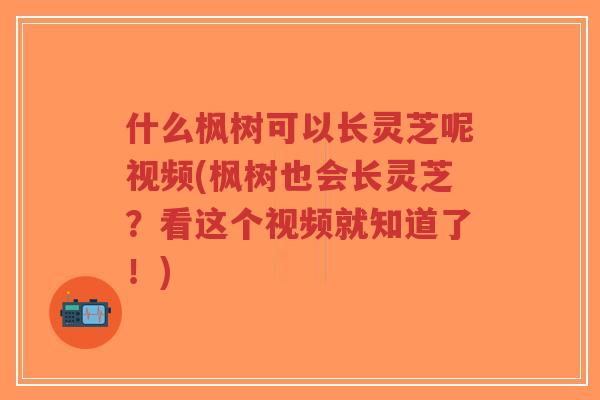 什么枫树可以长灵芝呢视频(枫树也会长灵芝？看这个视频就知道了！)