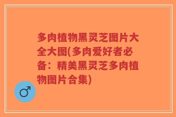 多肉植物黑灵芝图片大全大图(多肉爱好者必备：精美黑灵芝多肉植物图片合集)