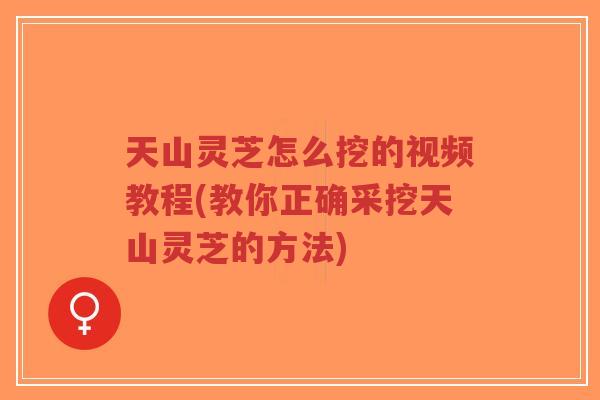 天山灵芝怎么挖的视频教程(教你正确采挖天山灵芝的方法)