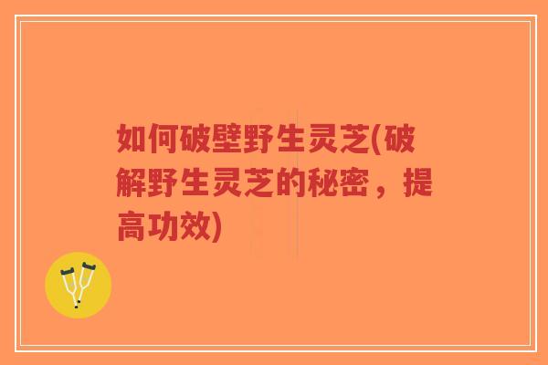 如何破壁野生灵芝(破解野生灵芝的秘密，提高功效)