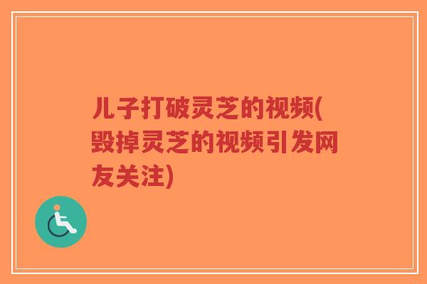 儿子打破灵芝的视频(毁掉灵芝的视频引发网友关注)
