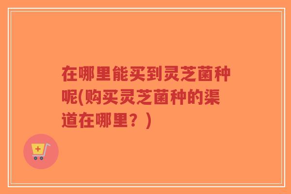 在哪里能买到灵芝菌种呢(购买灵芝菌种的渠道在哪里？)
