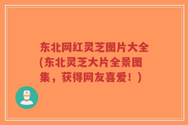 东北网红灵芝图片大全(东北灵芝大片全景图集，获得网友喜爱！)