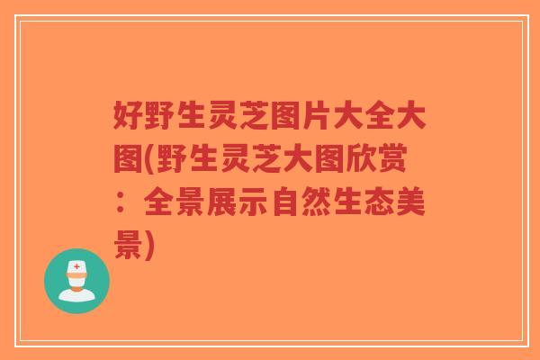 好野生灵芝图片大全大图(野生灵芝大图欣赏：全景展示自然生态美景)