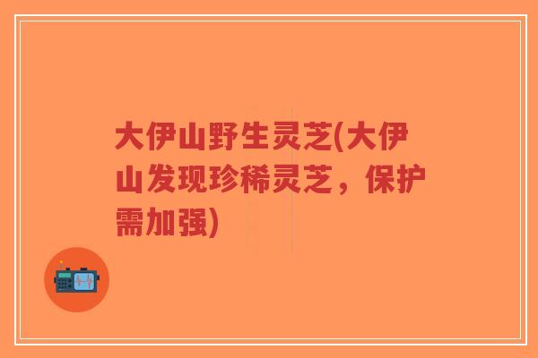 大伊山野生灵芝(大伊山发现珍稀灵芝，保护需加强)