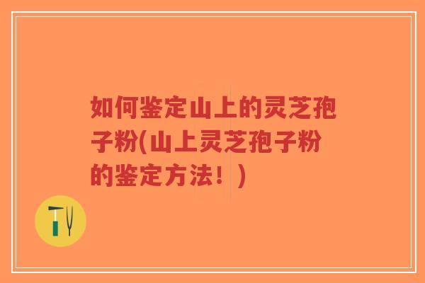如何鉴定山上的灵芝孢子粉(山上灵芝孢子粉的鉴定方法！)