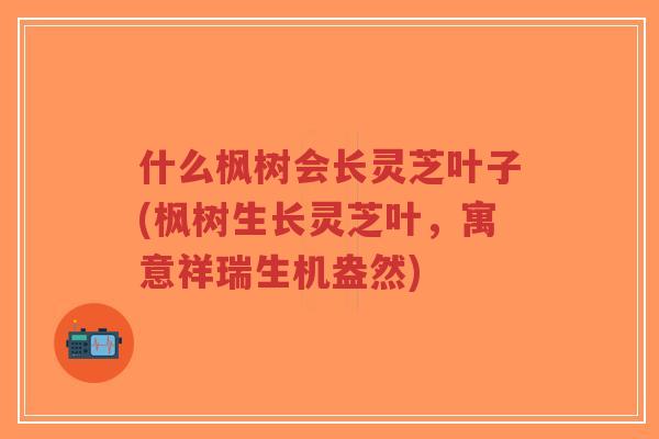 什么枫树会长灵芝叶子(枫树生长灵芝叶，寓意祥瑞生机盎然)