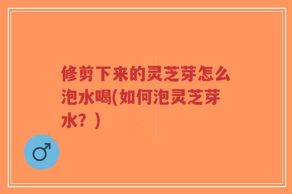 修剪下来的灵芝芽怎么泡水喝(如何泡灵芝芽水？)