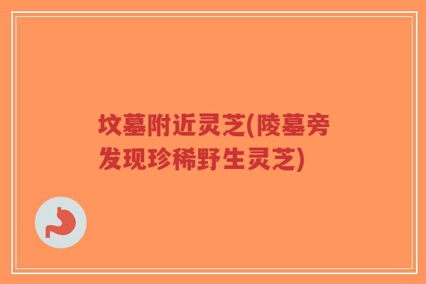 坟墓附近灵芝(陵墓旁发现珍稀野生灵芝)