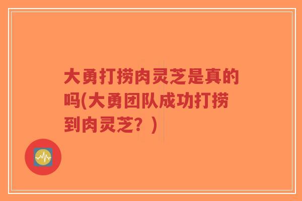 大勇打捞肉灵芝是真的吗(大勇团队成功打捞到肉灵芝？)