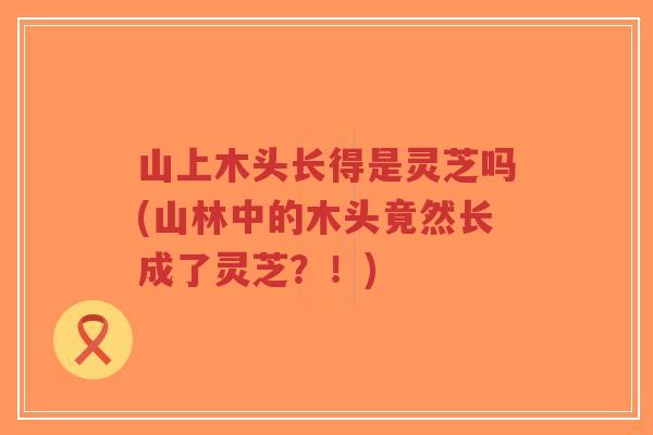 山上木头长得是灵芝吗(山林中的木头竟然长成了灵芝？！)