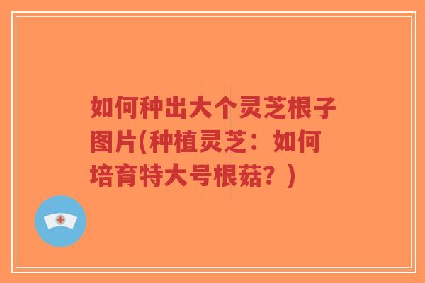 如何种出大个灵芝根子图片(种植灵芝：如何培育特大号根菇？)