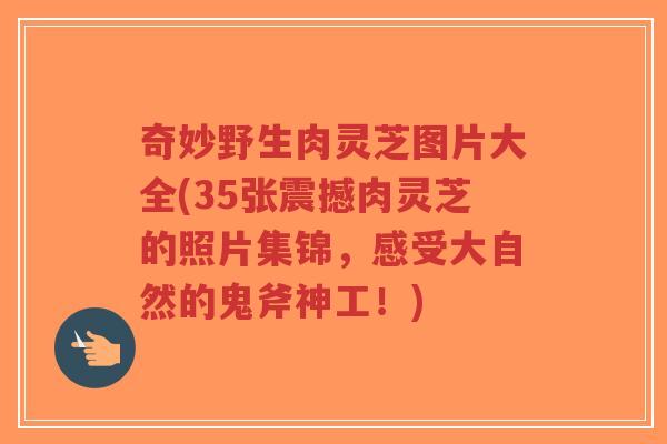 奇妙野生肉灵芝图片大全(35张震撼肉灵芝的照片集锦，感受大自然的鬼斧神工！)